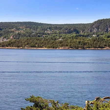 House With Multiple Terraces In *